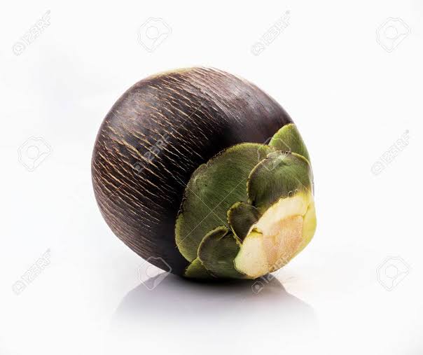 Palm