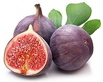 Common fig